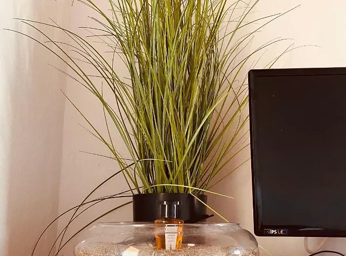 The View Cozy Apartment *