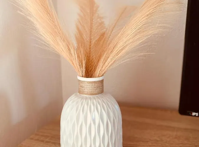 The View Cozy Kato Korakiana